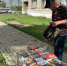 Нажмите для предварительного просмотра изображения - ЦБС г. Канска