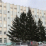 13 депутатов Канского городского Совета ушли в отставку - Канские Ведомости